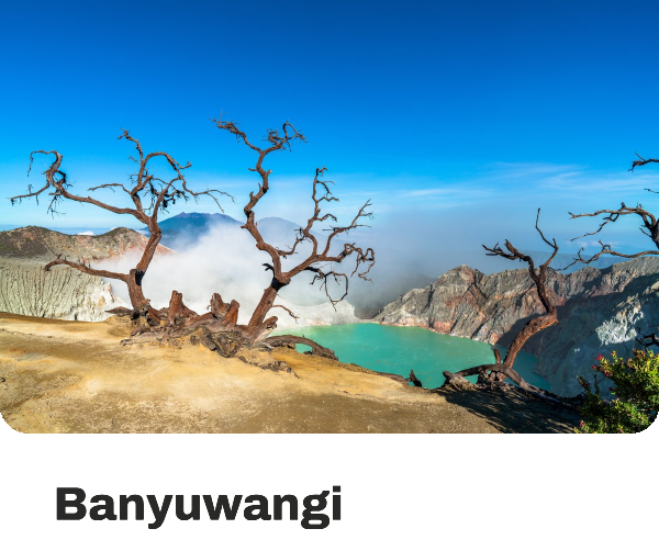 Banyuwangi