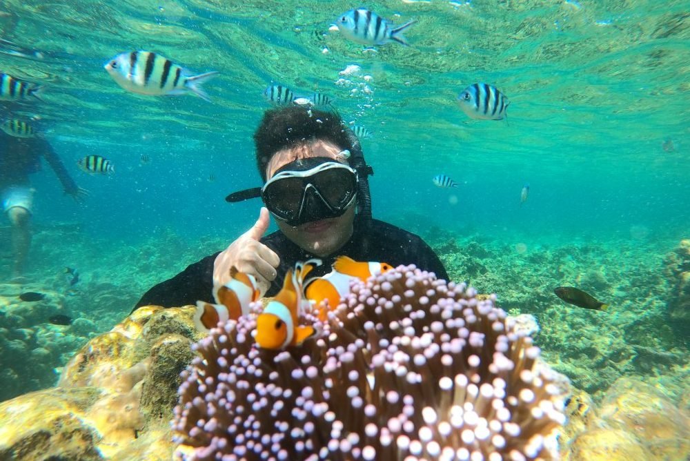 Berenang bareng ikan nemo