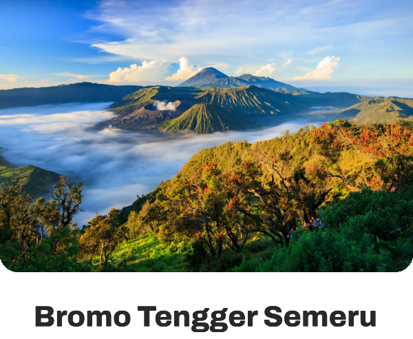 Bromo Tengger Semeru