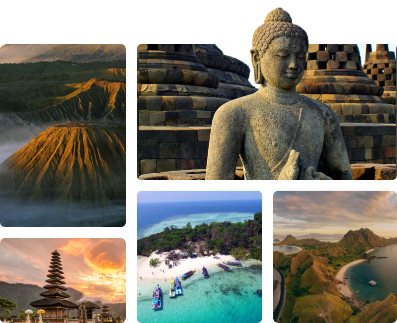 Tentang Kami Lelah Bahagia