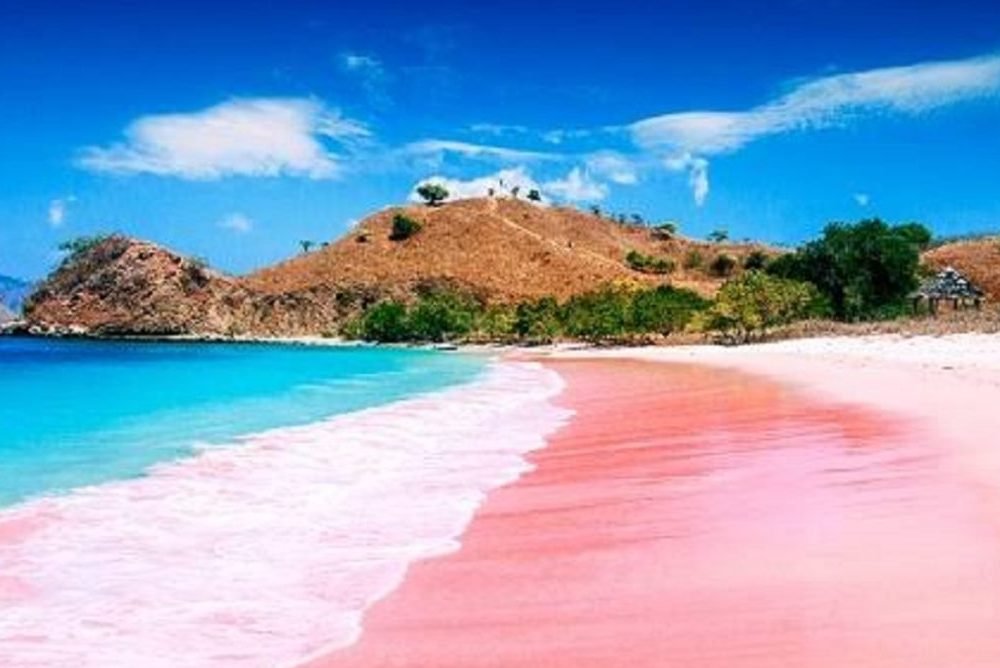 Wisdata lombok galeri lelah bahagia