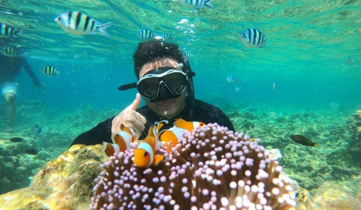 Berenang bareng ikan nemo