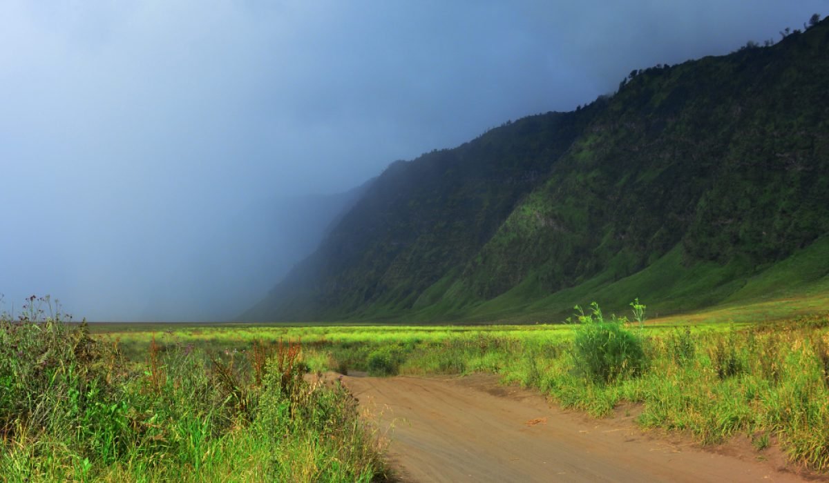 Savana Bromo lelah bahagia galeri
