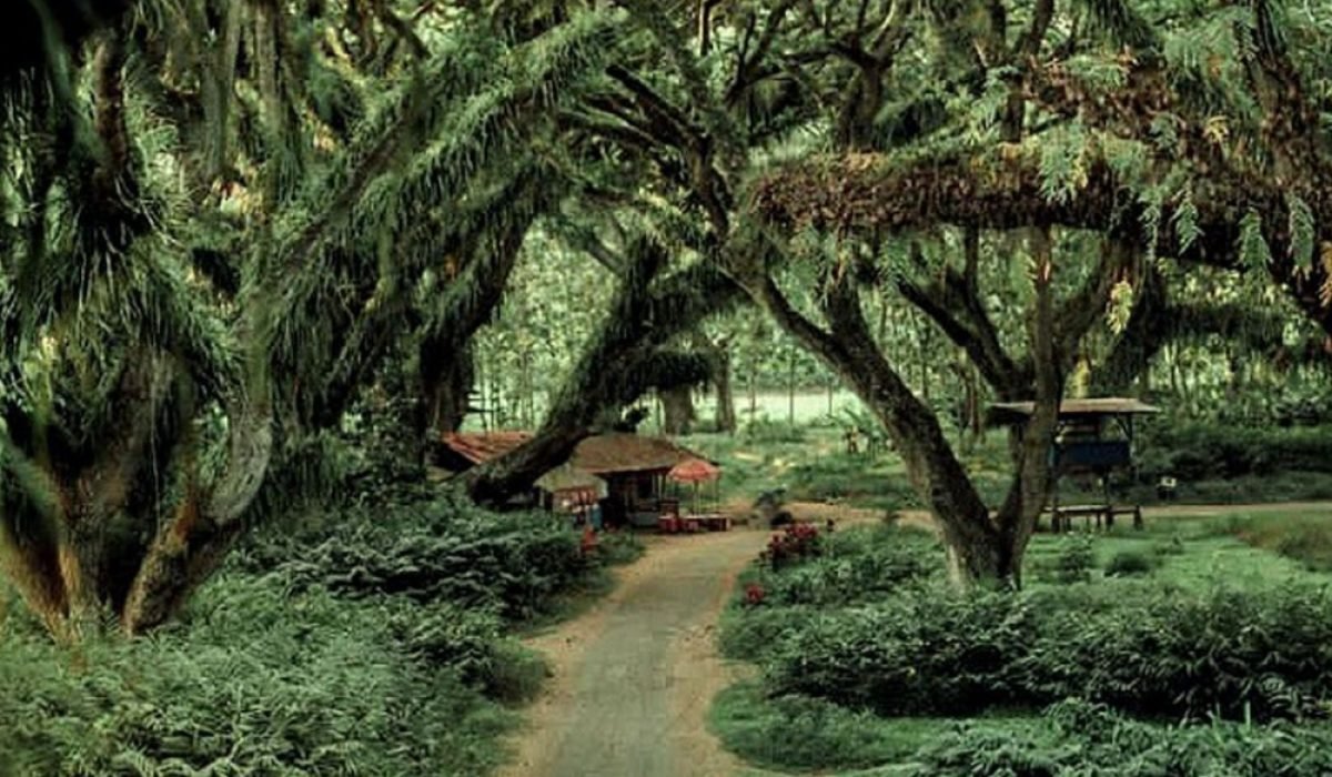 Taman De Djawatan Galeri lelah bahagia